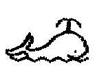Whale (9)